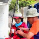 성일카랜드 이미지