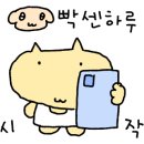 초코네 애견샵 이미지