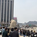 하단포비 | [국립현대미술관 서울] 데미안허스트 전시와 경복궁카페추천