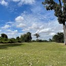 현대그린골프연습장 이미지