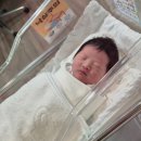 엠에스여성의원 이미지