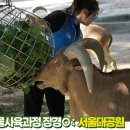애완동물원 이미지