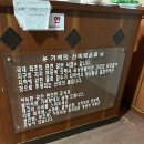 발안식염온천, 경기도 화성으로 온천 여행 가족탕 후기