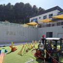 가평 키즈펜션 추천 파인트리 키즈 풀빌라 PINE2 후기