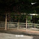 싱가폴일상 / 우연은 비켜 가지 않는다
