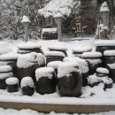 서림농원 이미지