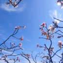 향일암전망대 이미지