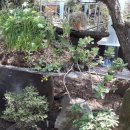 아름다운농장비밀의화원 이미지