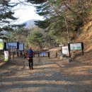 [도로]샘터 삼거리 이미지