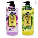 레몬향데이지 이미지