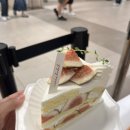 CREAMLABEL | [센트럴시티 디저트 맛집]크림리벨 무화과 케이크 후기🍰