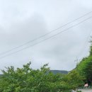 올게이츠2 이미지