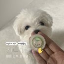 네이처스템