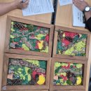 서천군지속가능지역재단 이미지