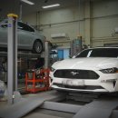 에코사운드 이미지