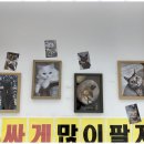 루비핸드폰 네이버블로그