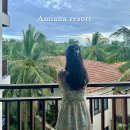 대왕당구클럽 | 나트랑 아미아나 리조트 체크인, 미니바 | 디럭스 킹룸 가든뷰 아동테마룸 내돈내산 후기