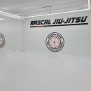 티케이스포츠 이미지