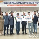 디자인 제주도 이미지