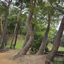선산임씨효열문 | 김천 직지사