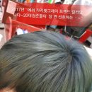 영등동-17 이미지