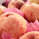 호야네농장 이미지