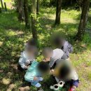 자연생태어린이집 이미지