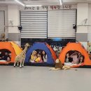 라이온 태권도장 이미지