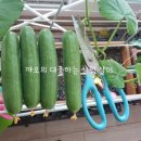 장훈농장 이미지