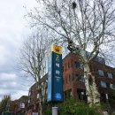 주식회사 라온통신 | 서울 대학로 혜화 연극 한뼘사이 예매 추천