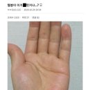 화타 이미지