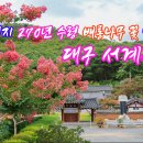서계 티스토리