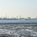 씨사이드파크 이미지