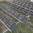 정○ 태양광발전소 이미지