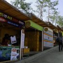 삼성봉(440m) 이미지