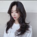 하쏘헤어 이미지