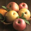 풍년슈퍼과일 이미지