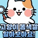 74. 고양이 정보(고양이 똥색깔) 이미지