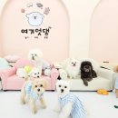 여기엇댕 이미지