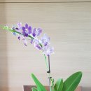 부칸산837 이미지