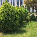 한경행정사사무소 이미지