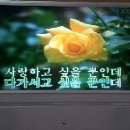 타인 반 연인 반 - 임수정 (( 의창동 노래교실 )) 이미지