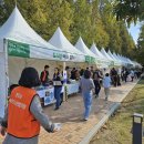 초전 야외무대 이미지