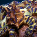 고리메디칼 이미지