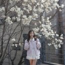 오르 ORR 핑크 트위드자켓 추천 코디 내돈내산 리뷰