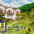 별따오기 이미지