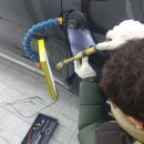 뉴덴트 이미지