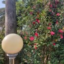 물댄동산 통나무펜션 이미지