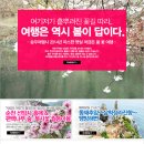 명가여행사