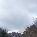 주문진대박식당
